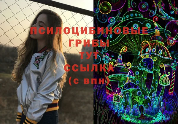 гидропоника Новозыбков