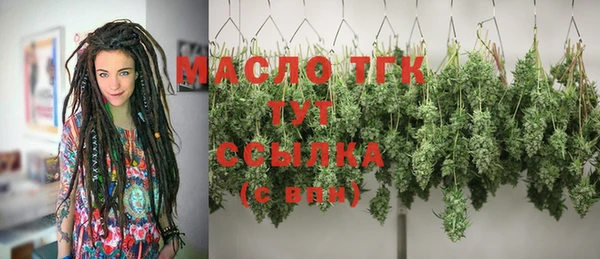 гидропоника Новозыбков