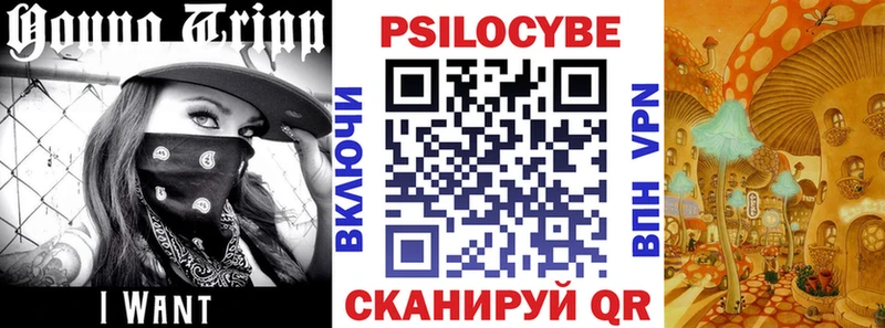 цены наркотик  Кохма  Галлюциногенные грибы Psilocybine cubensis 