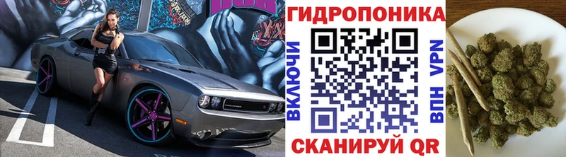 Конопля ГИДРОПОН  кракен ТОР  Кохма 